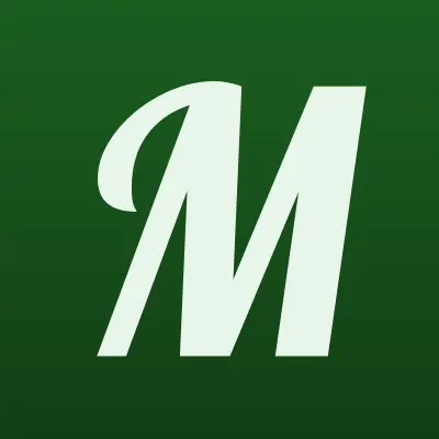 Метелица, служба заказа легкового транспорта, лого-визитка